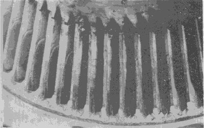 �X��ēp���E��