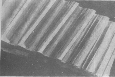 ����׃��