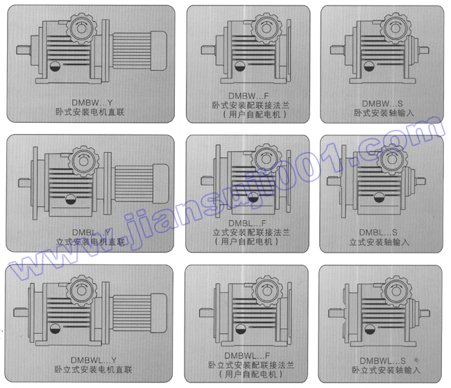 DMB無(wú)級(jí)減速機(jī)結(jié)構(gòu)形式圖
